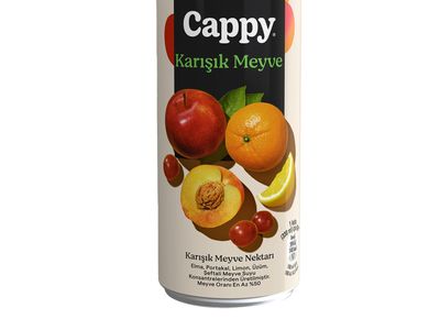 Cappy Karışık (33 cl.)