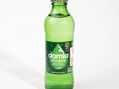 Soda (20 cl.)
