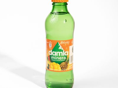 Meyveli Soda (20 cl.)