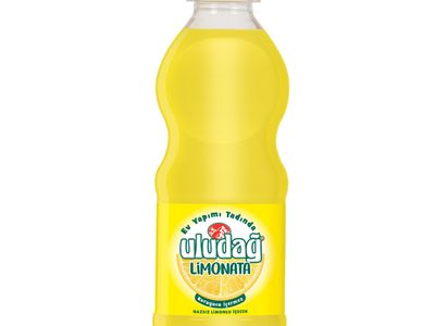 Uludağ Limonata (250 cl.)