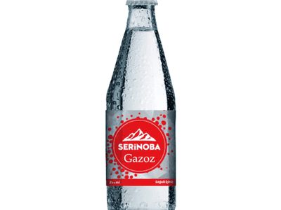 Gazoz (20 cl.)