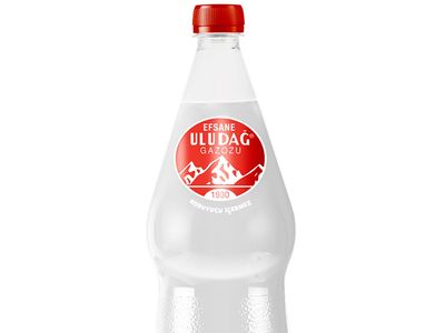 Uludağ Gazoz (1 L.)