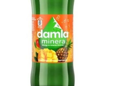 Damla Mango & Ananaslı Soda (20 cl.)