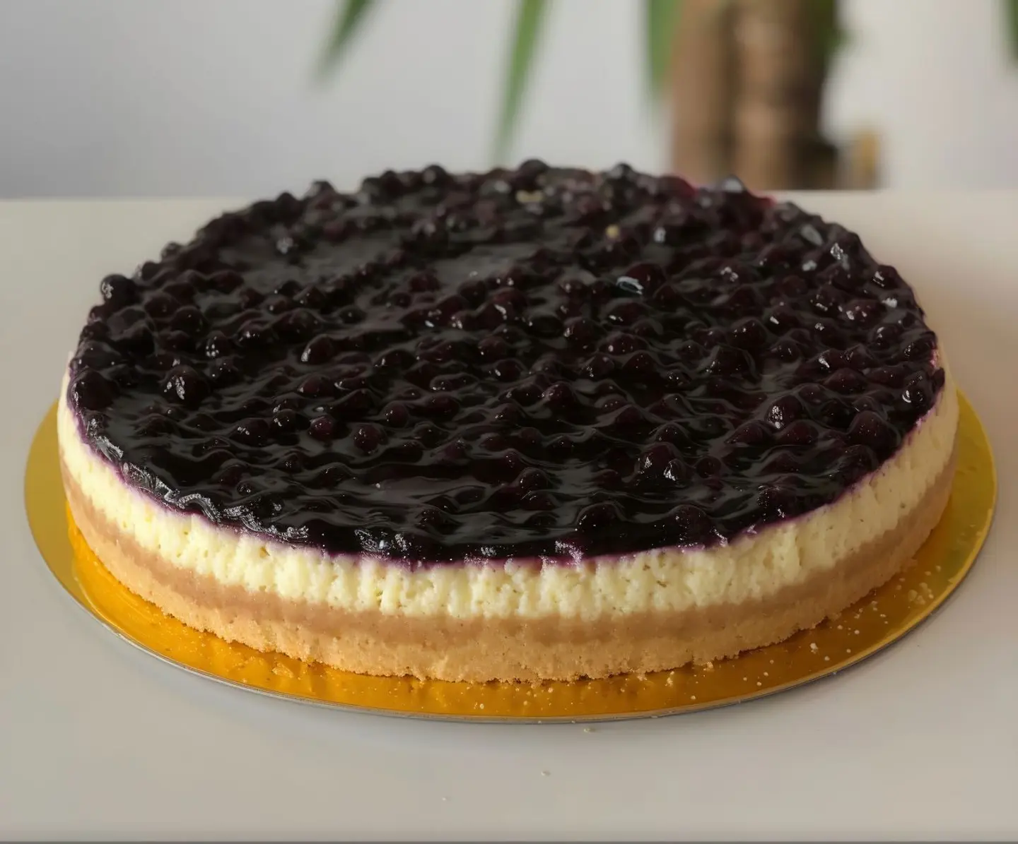 Blueberry Cheesecake