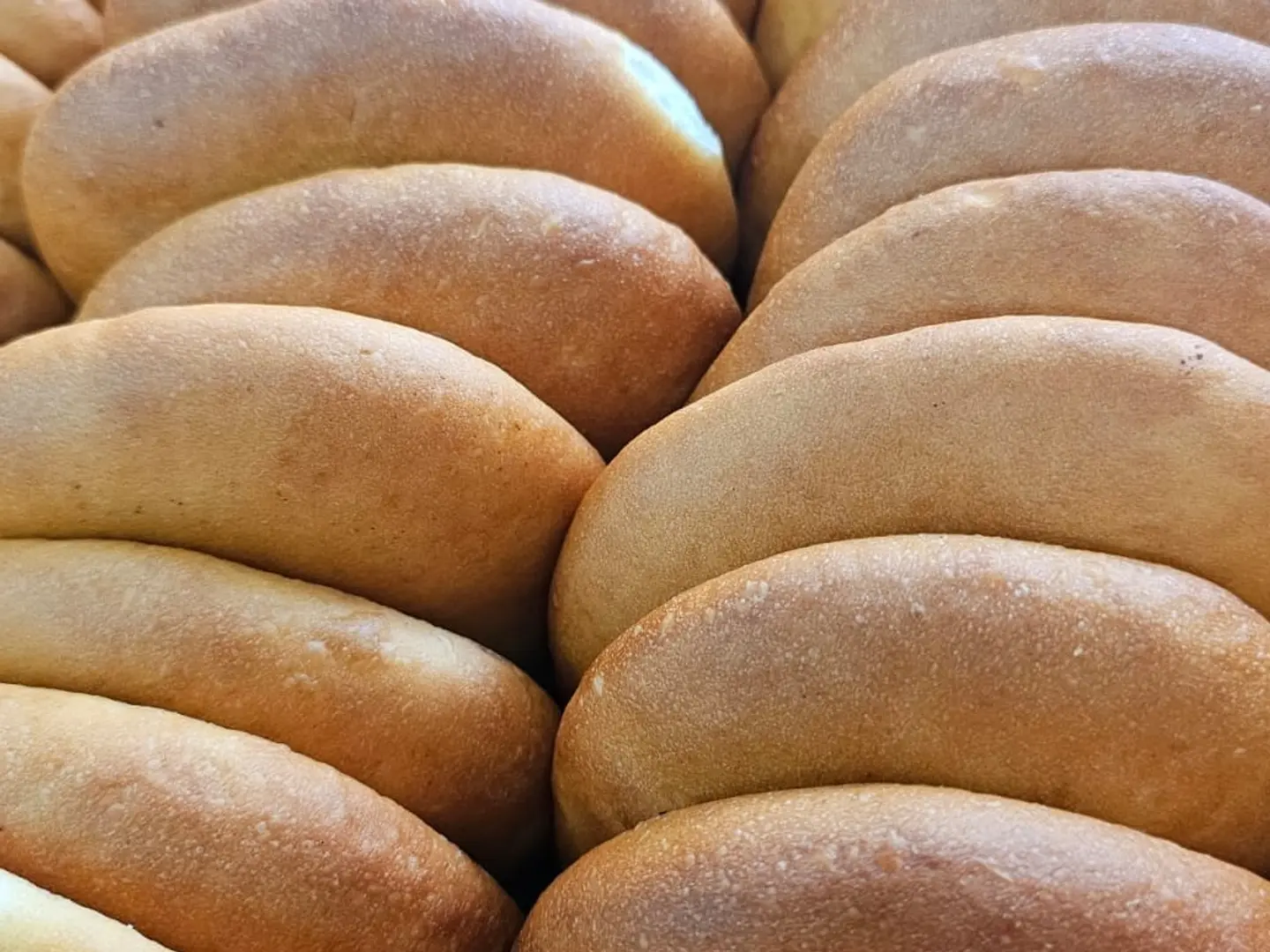 قرص فلاحى بالتمر