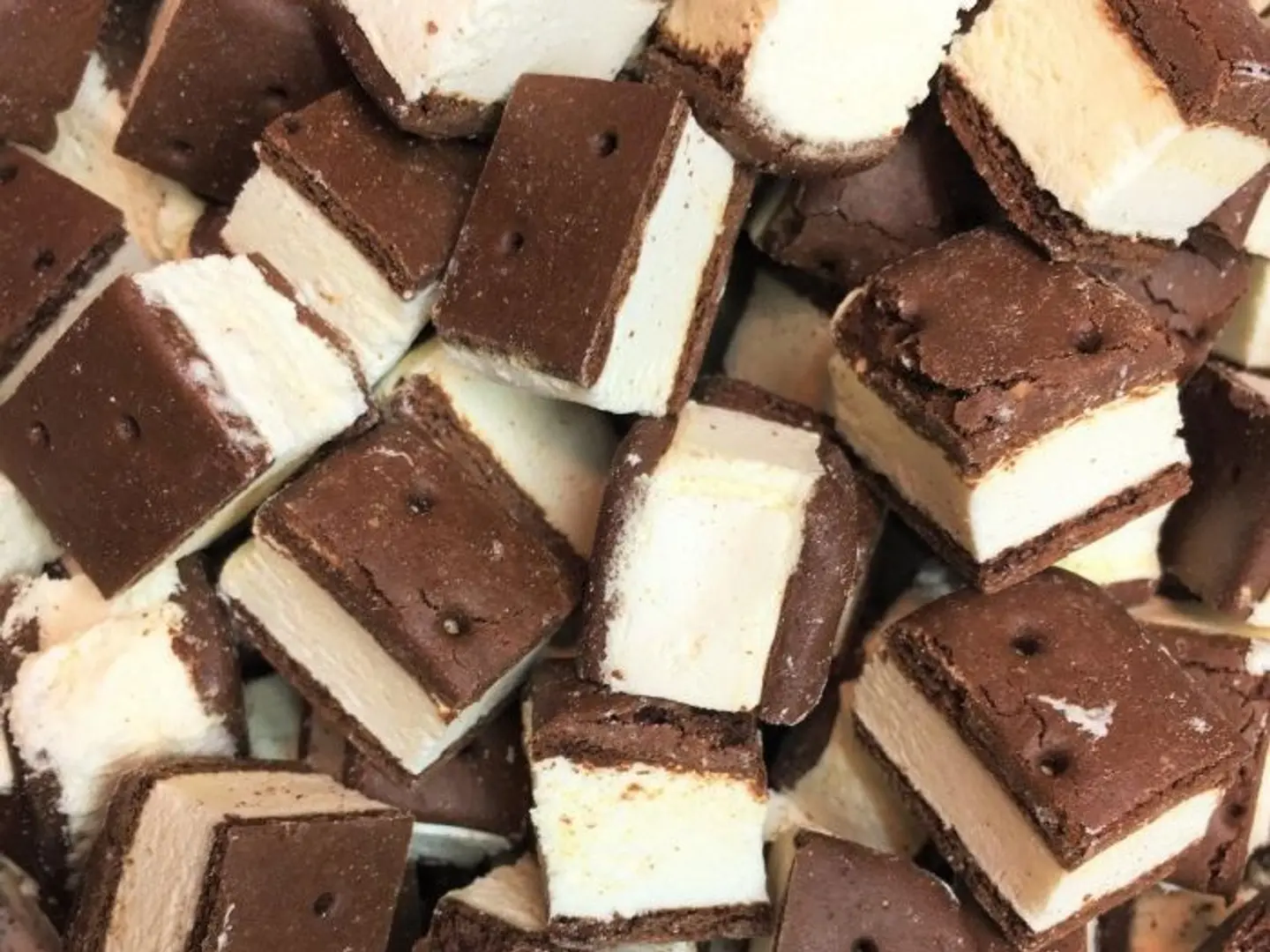 Freeze Dried Ice Cream Sandwich