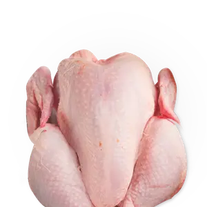 الدواجن الفئة