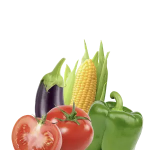 خضروات الفئة