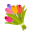ورود