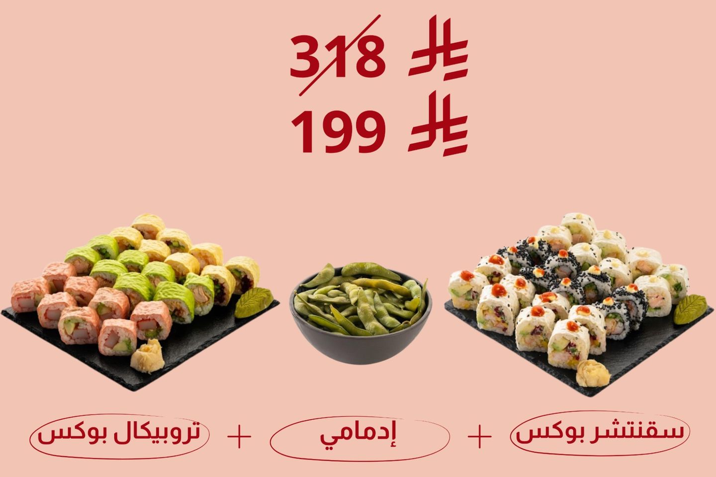 سقنتشر بوكس + تروبيكال بوكس + ادمامي