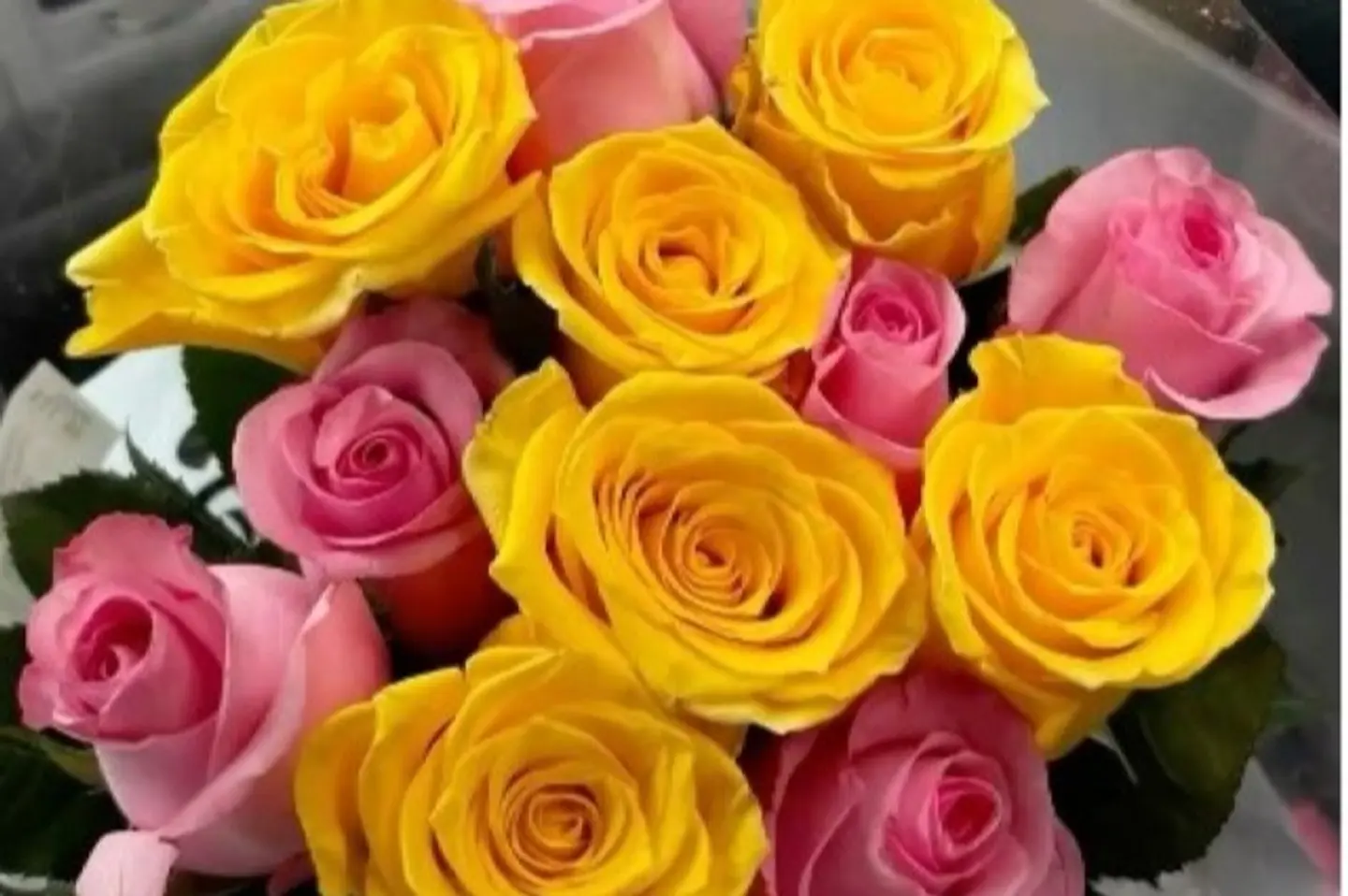 إشراقة ذهبية ١٢