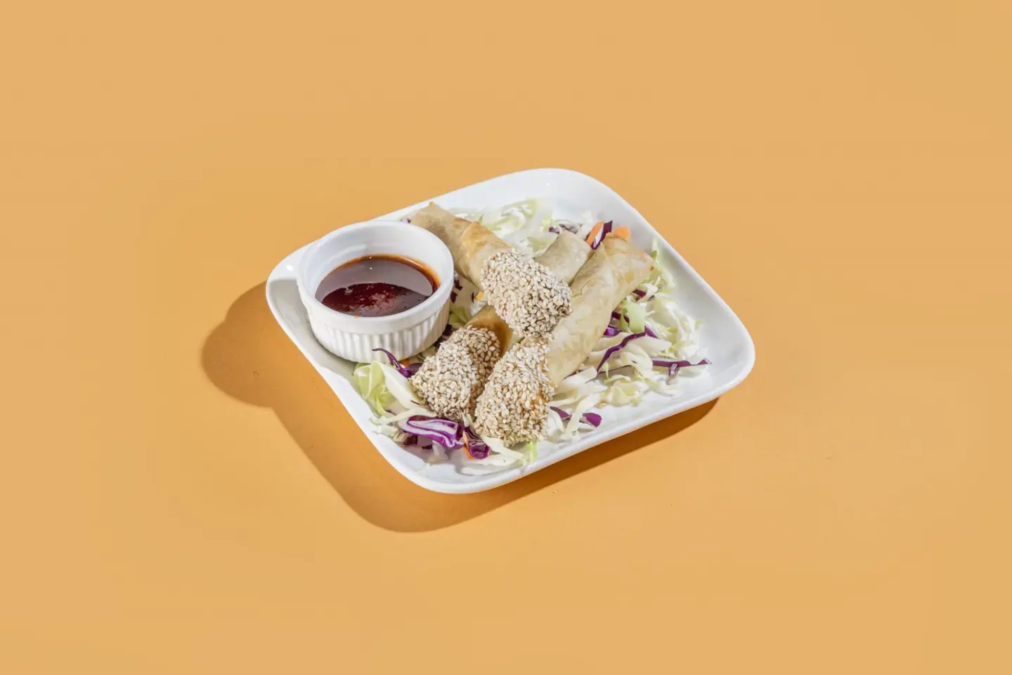 Vegetable Spring Roll