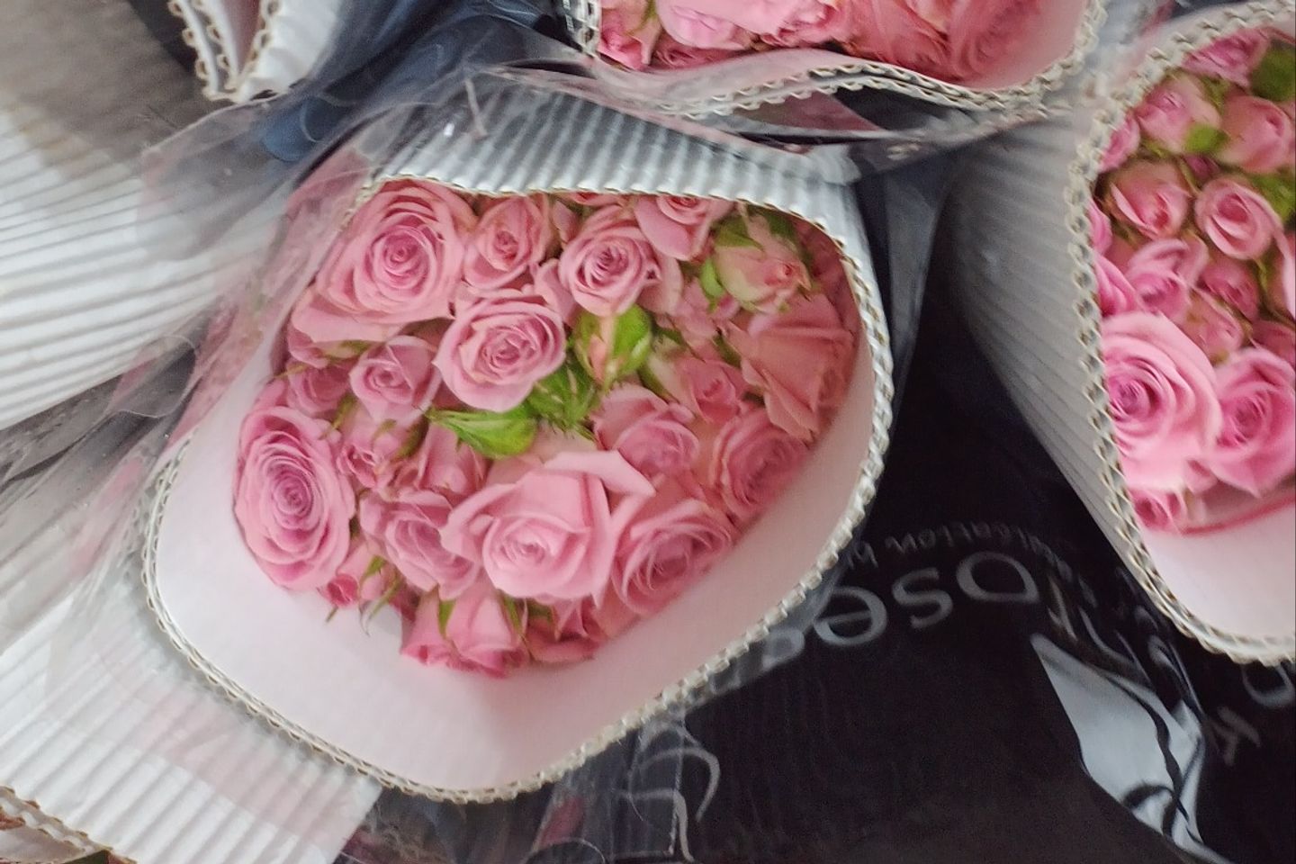 بيبي روز اوديلا