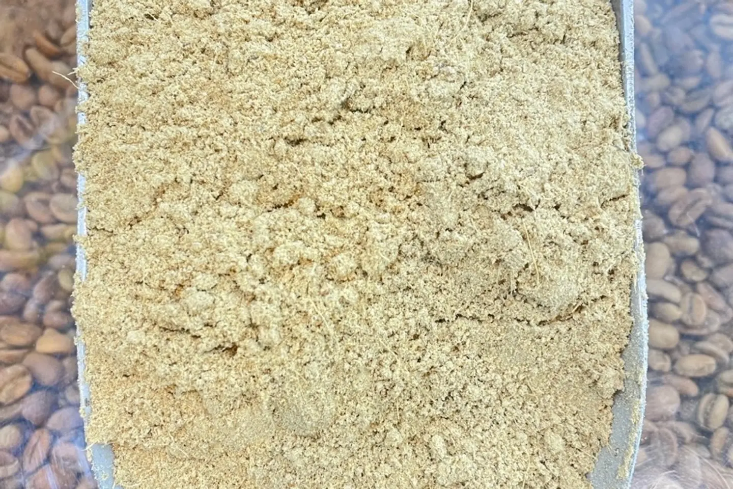 زنجبيل نيجيري رقم ١