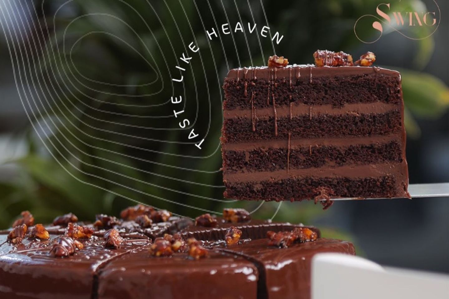 Cake Chocolate