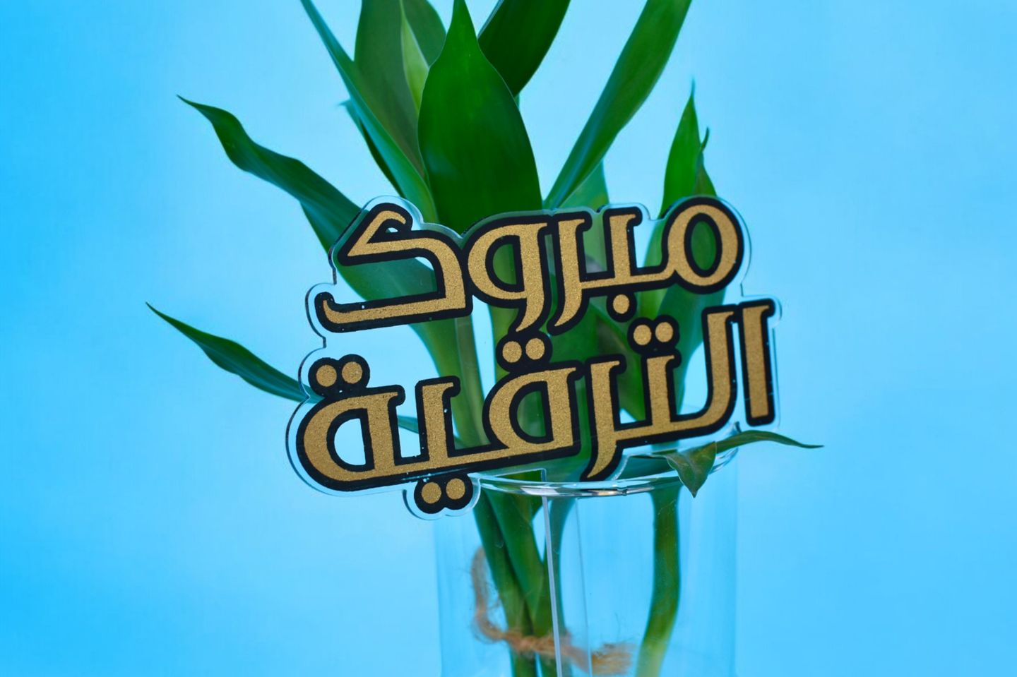تغريسة مبروك الترقية ٠١٤٦