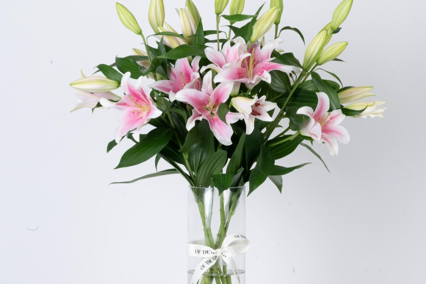 Lily Bank Oasis