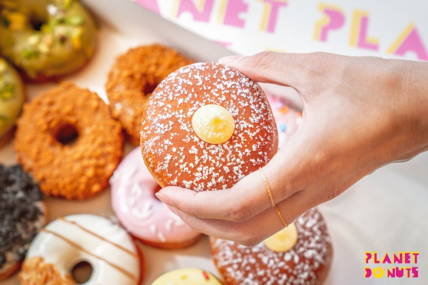 Donuts 12 And 4 Free