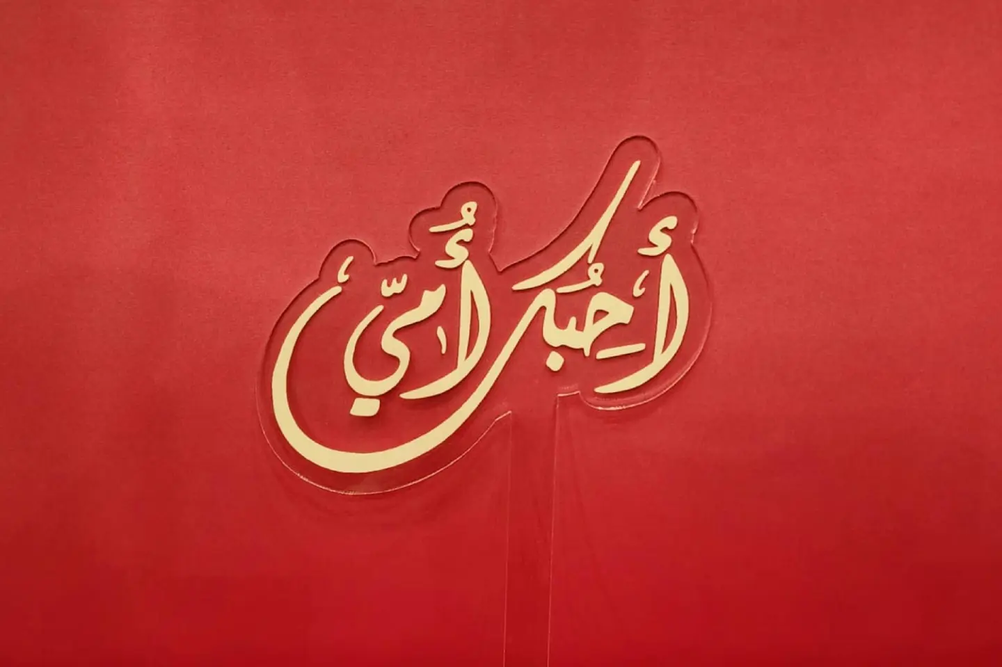 تغريسة يوم الام ١