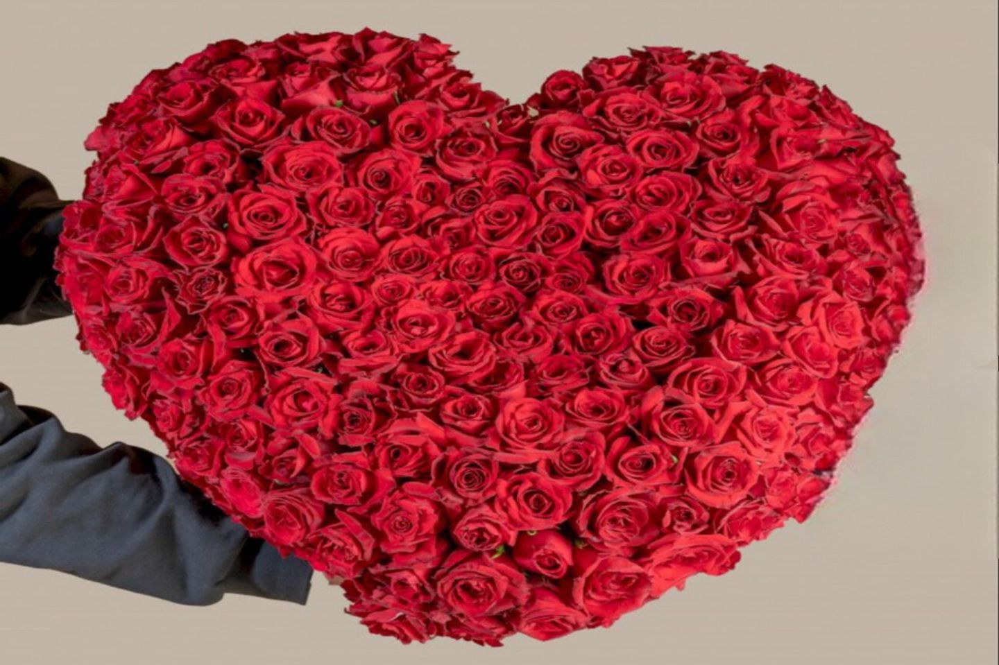 Heart Red Gori