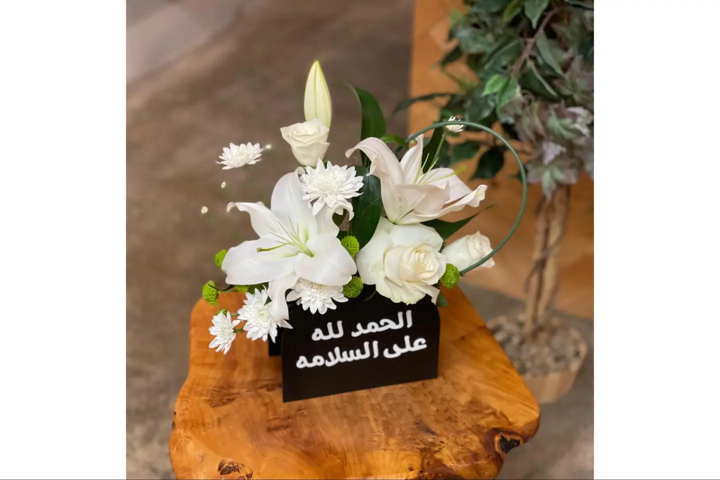 الحمد لله على السلامة وقفة مع الزهور الطبيعية