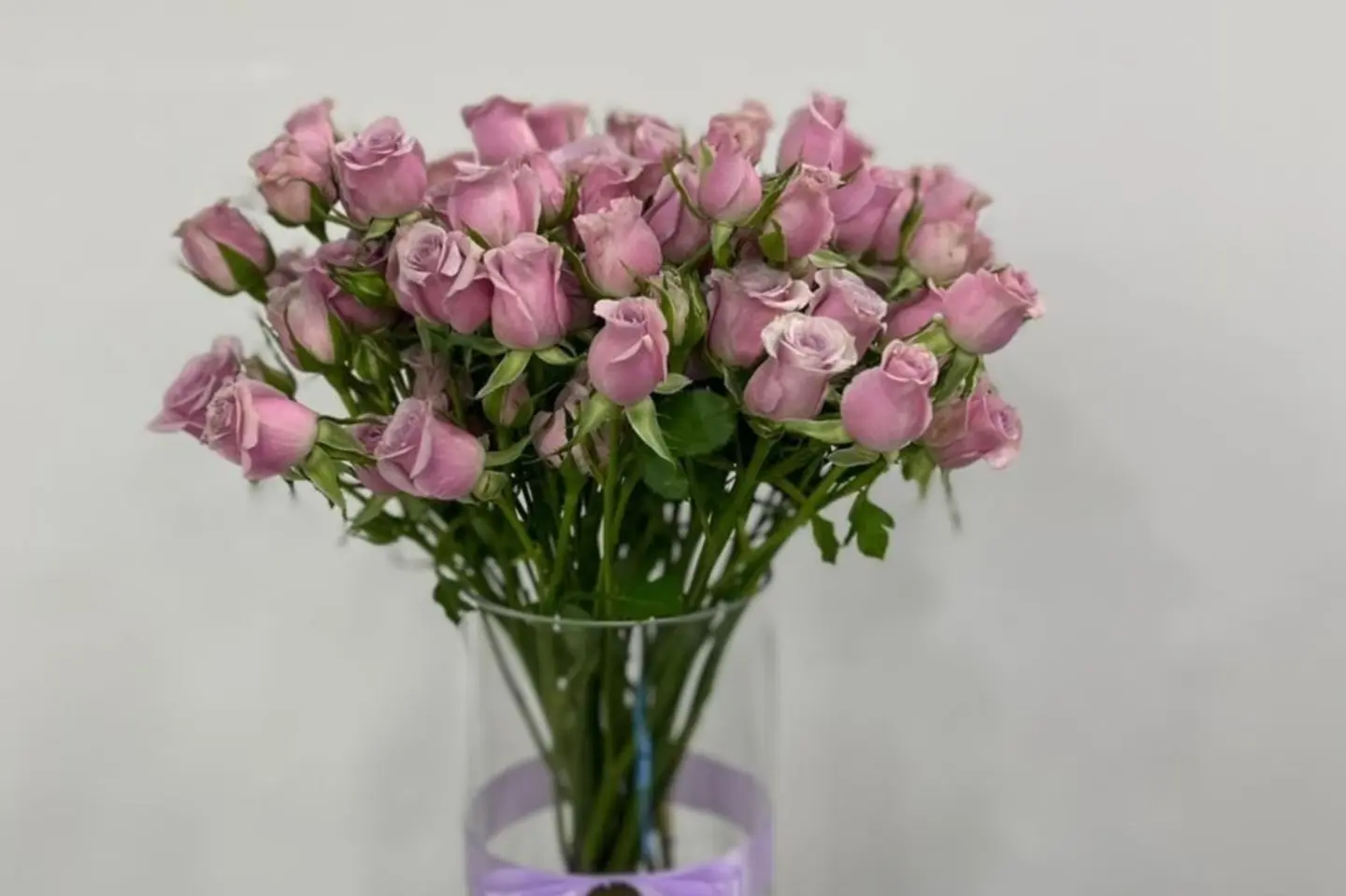 فازة بيبي روز – ١٥ غصن - بنفسجي