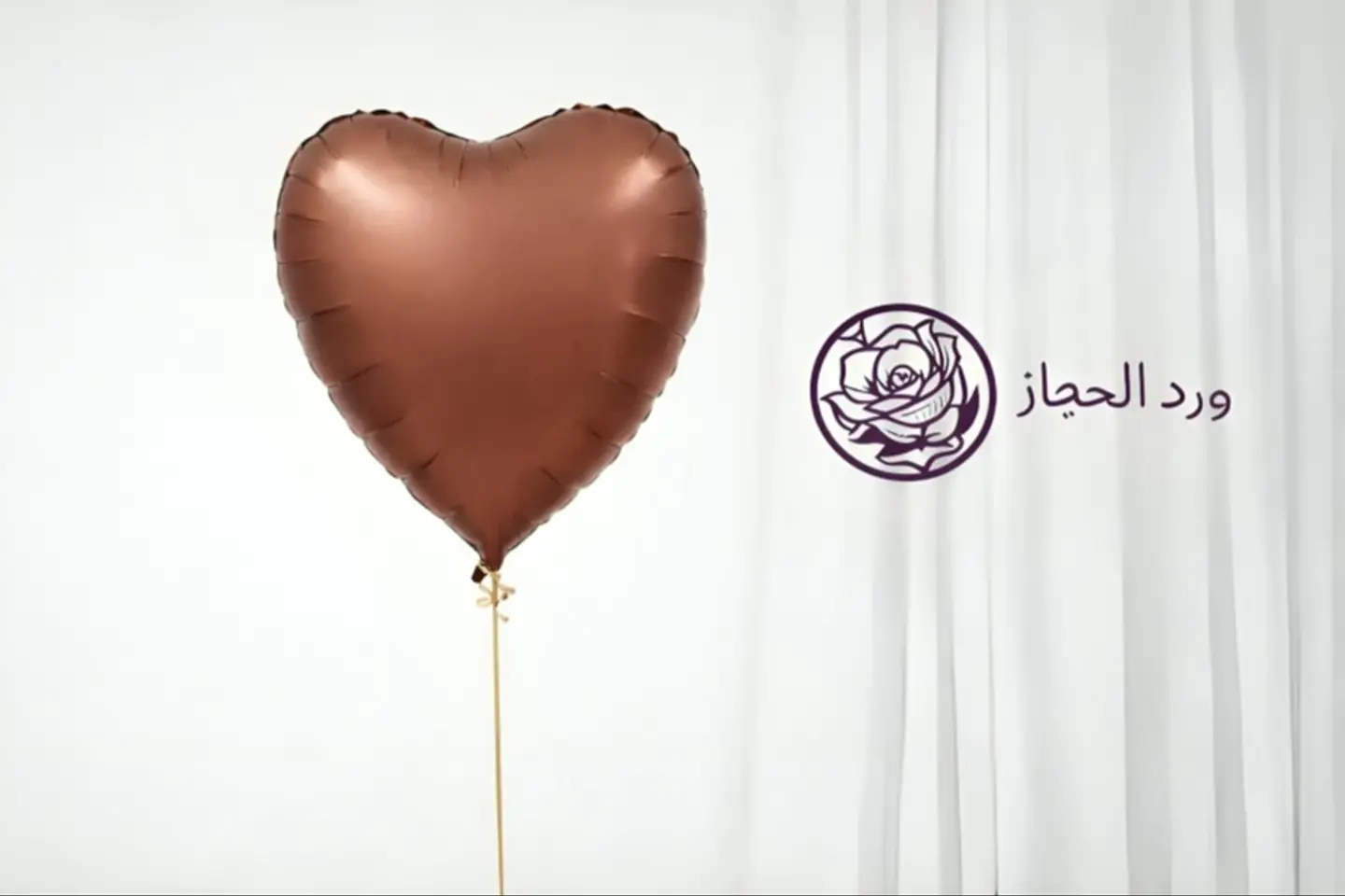 Occasion Balloon   259