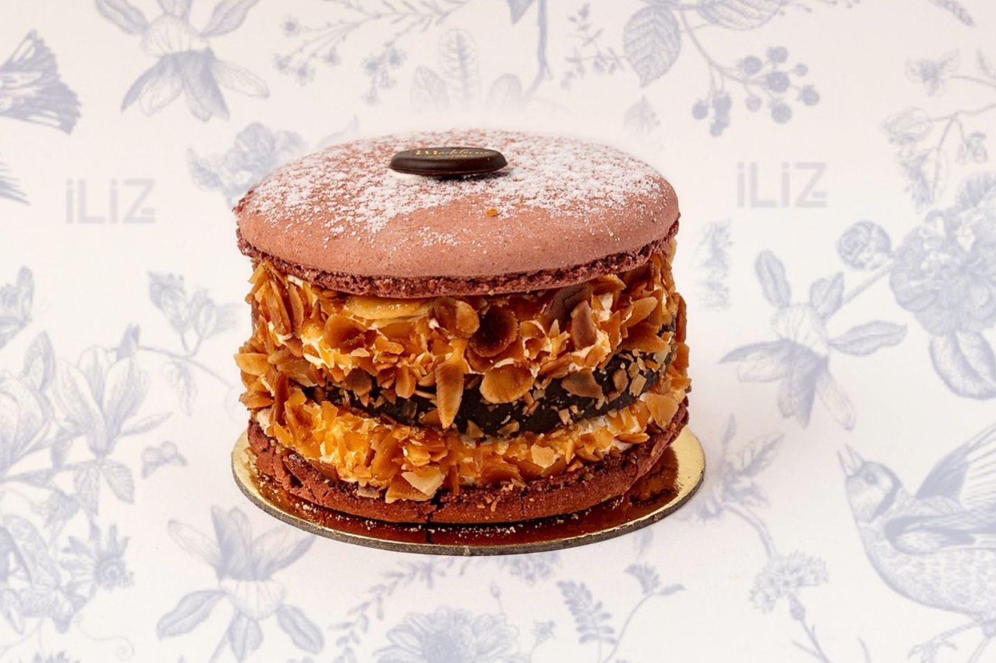 Salted Caramel Macaron