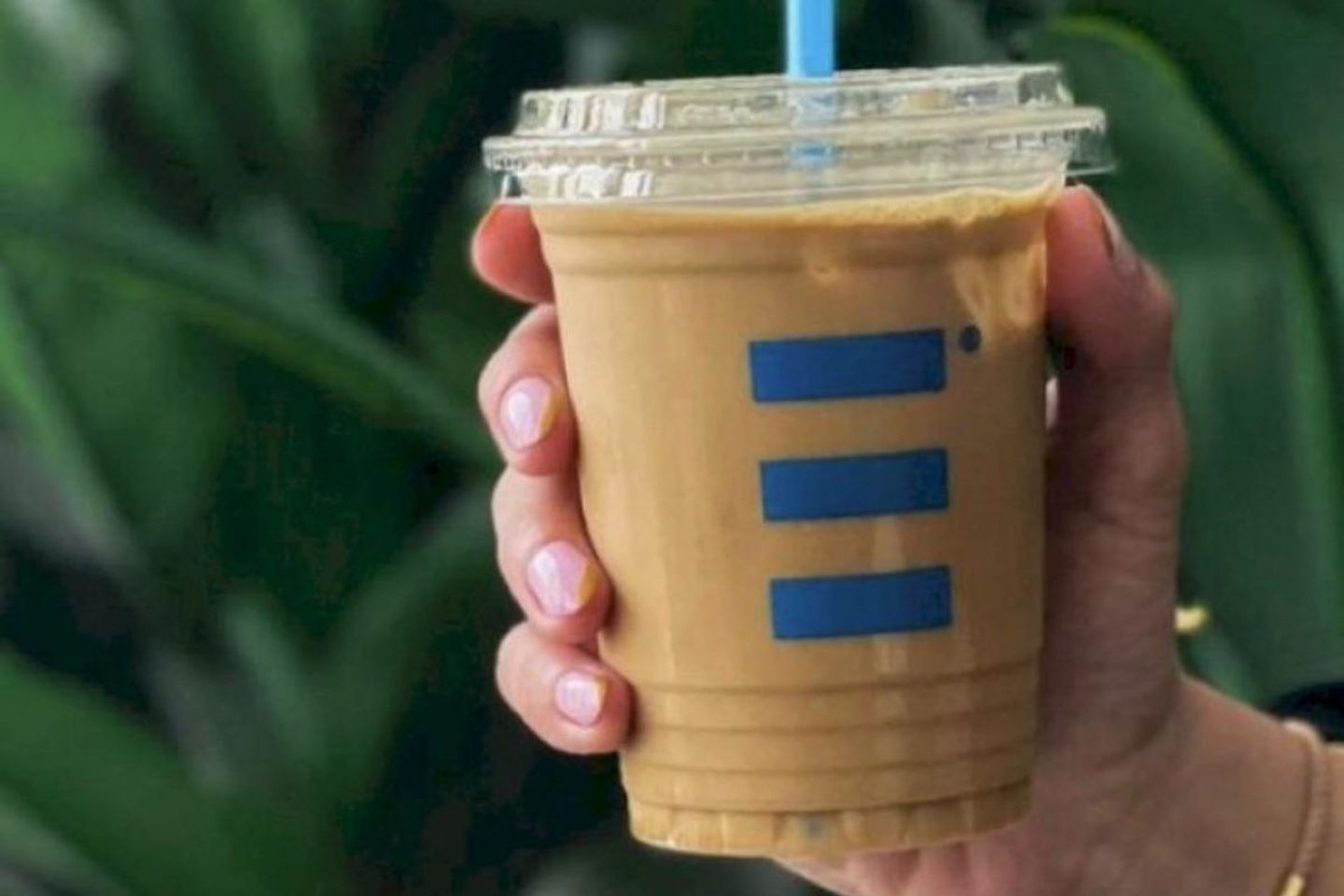 ايس وايت موكا