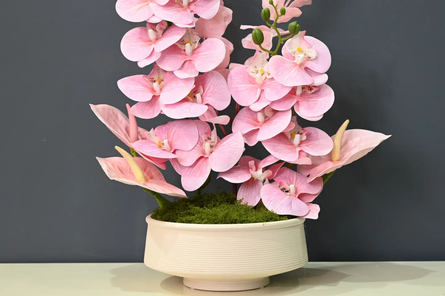 فخامة الأنثوريوم