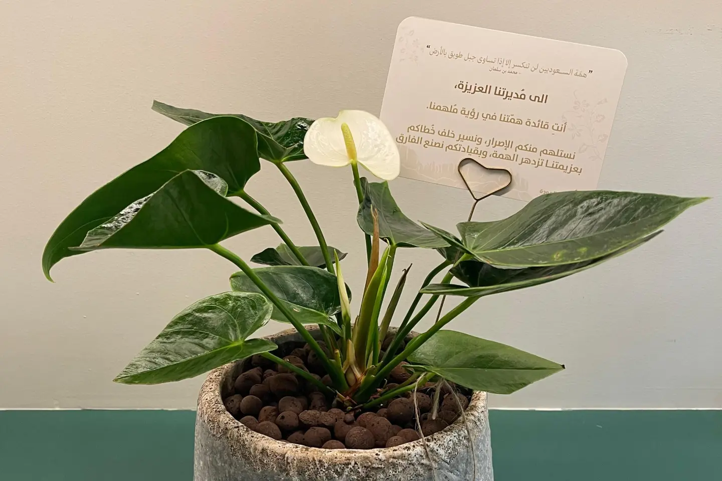 أنتِ قائدة همّتنا في رؤية مُلهمنا ٢