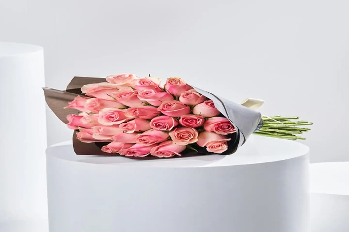 باقة الخجل العتيق