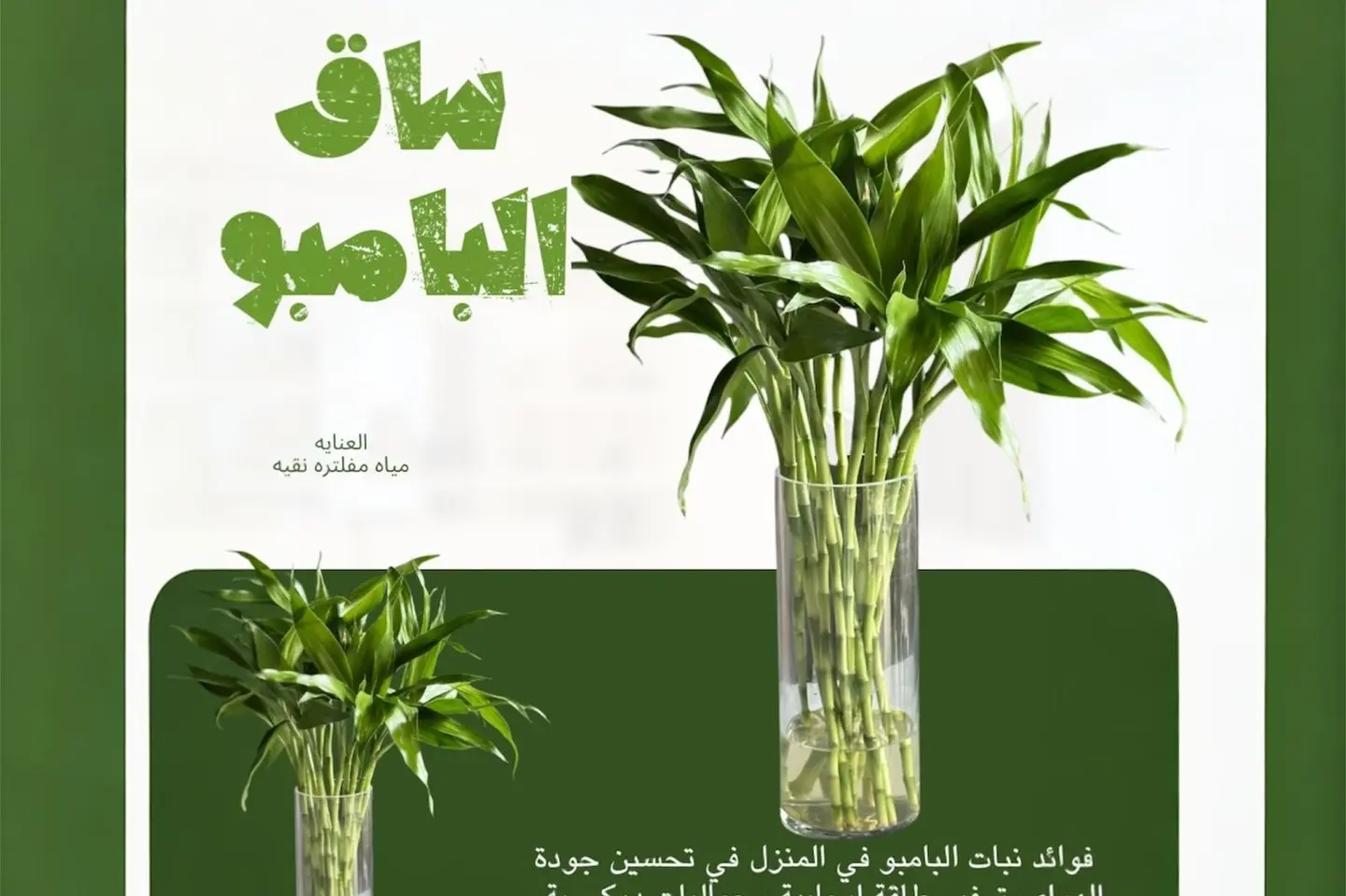 Ten Bamboo Stalks With A Vase