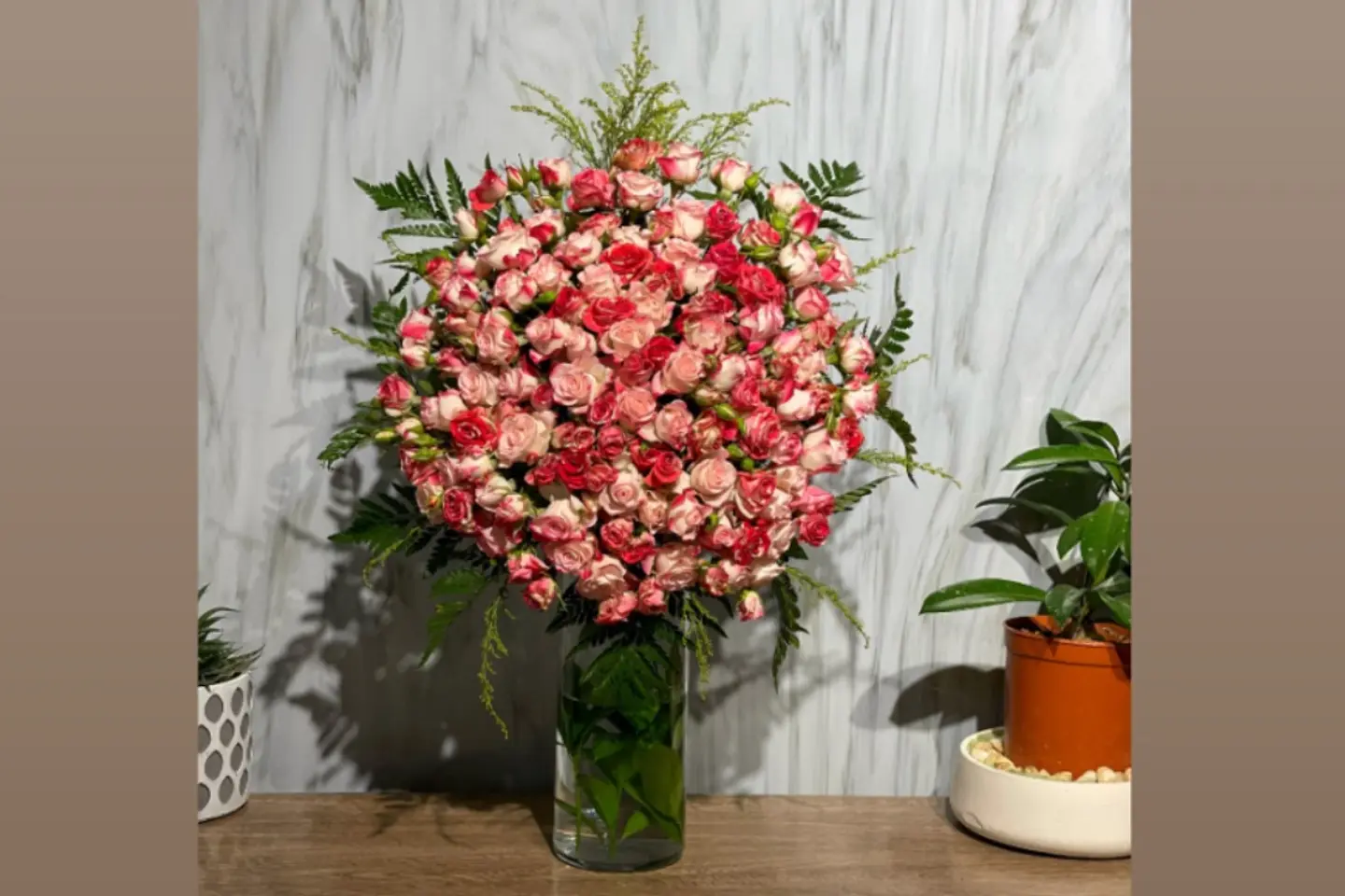 فازة الجمال