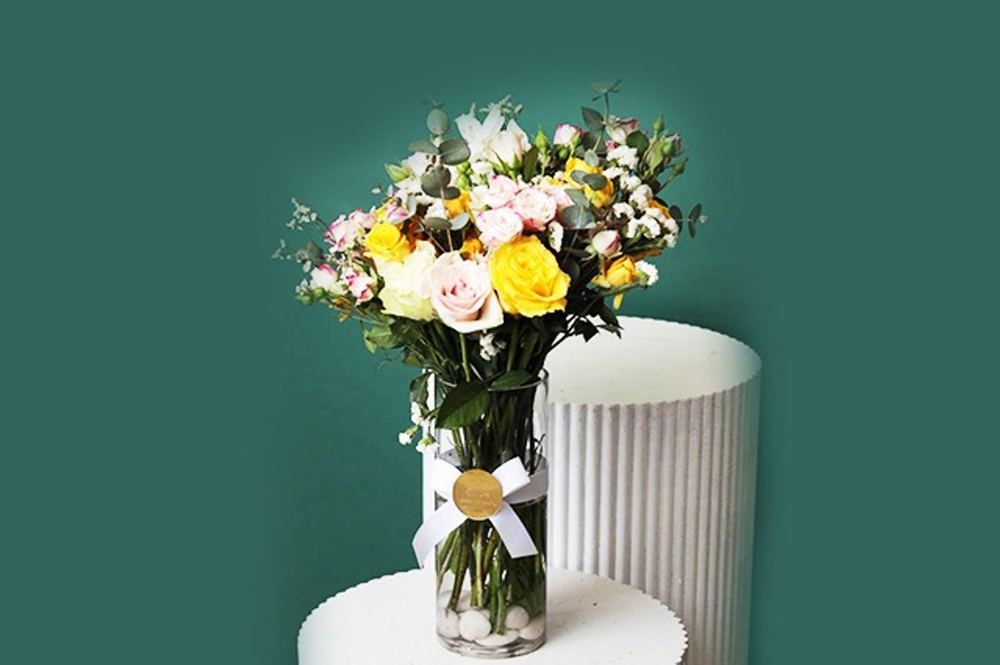 فازة يوم مشرق