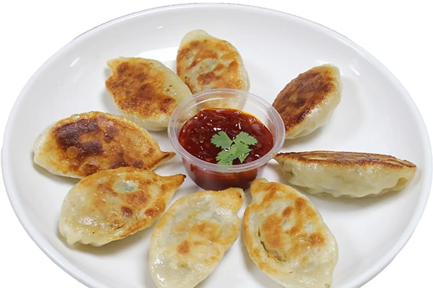 Fried Gyoza