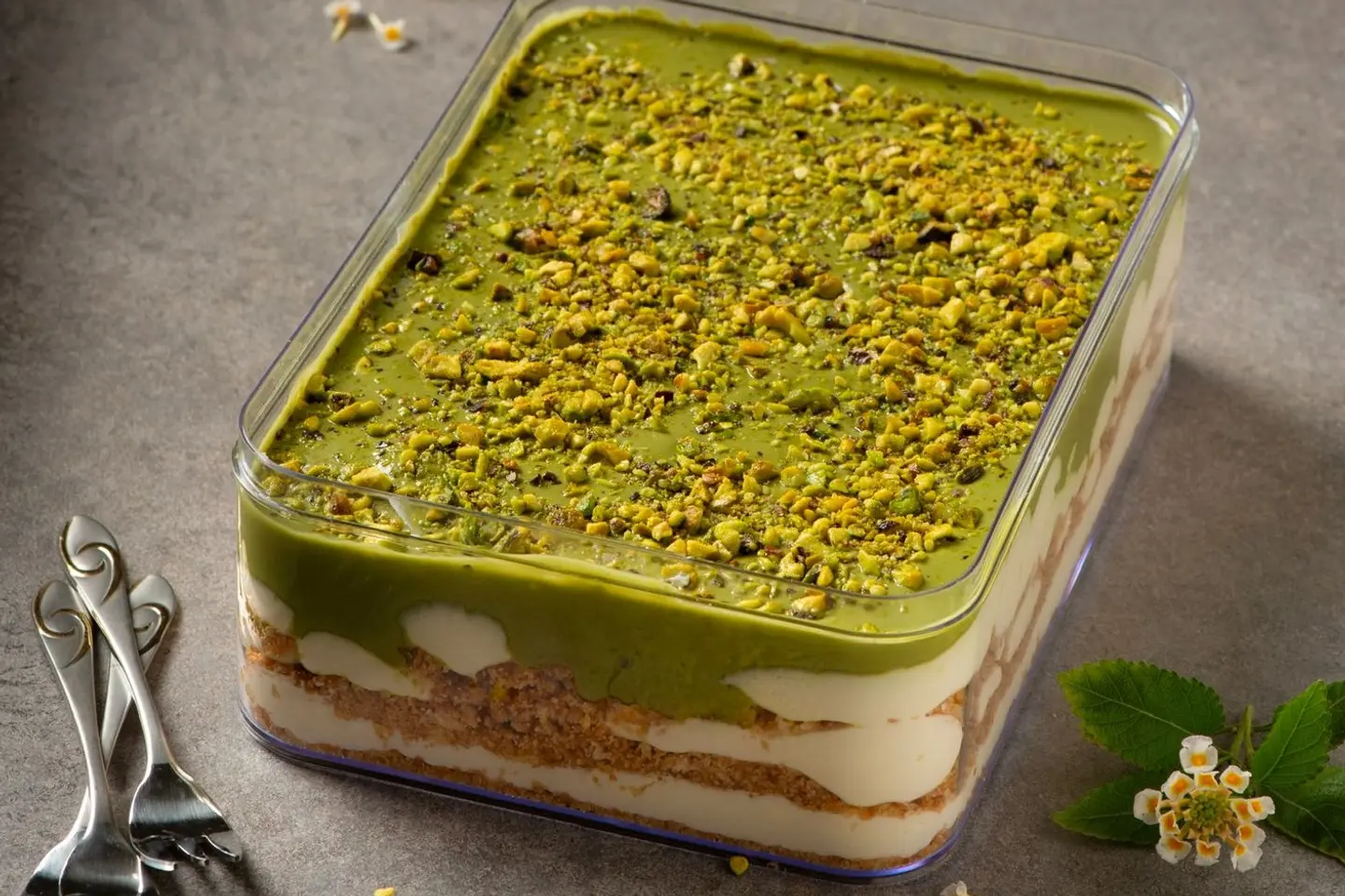 Cold Cheesecake With Pistachio
