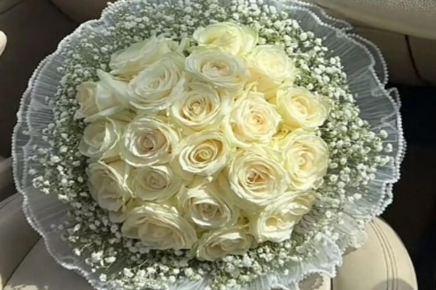 توهج الياقوت ٢٥