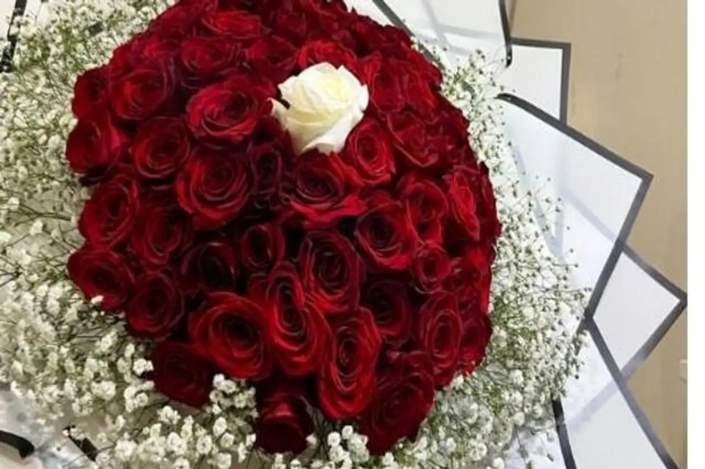 وردة منتصف الليل ٤٠