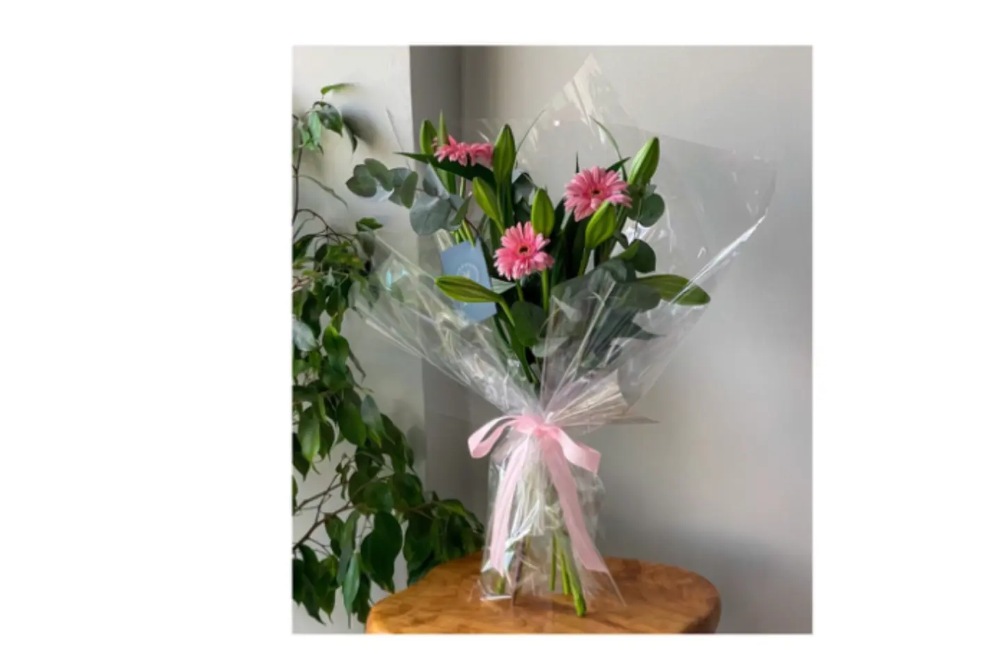 اغصان هولندية طبيعيه انيقه