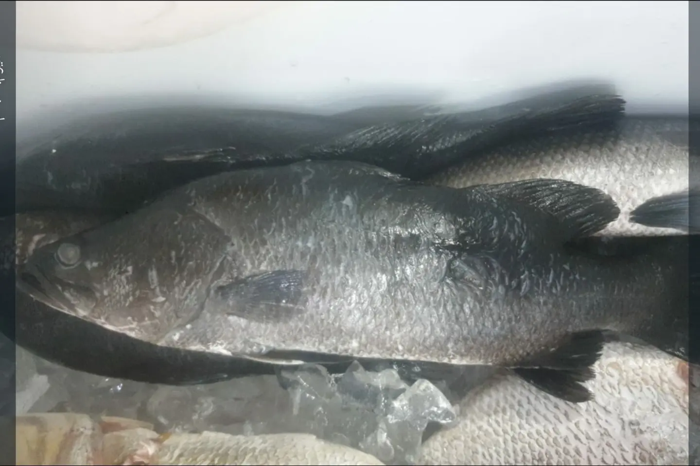 Grouper