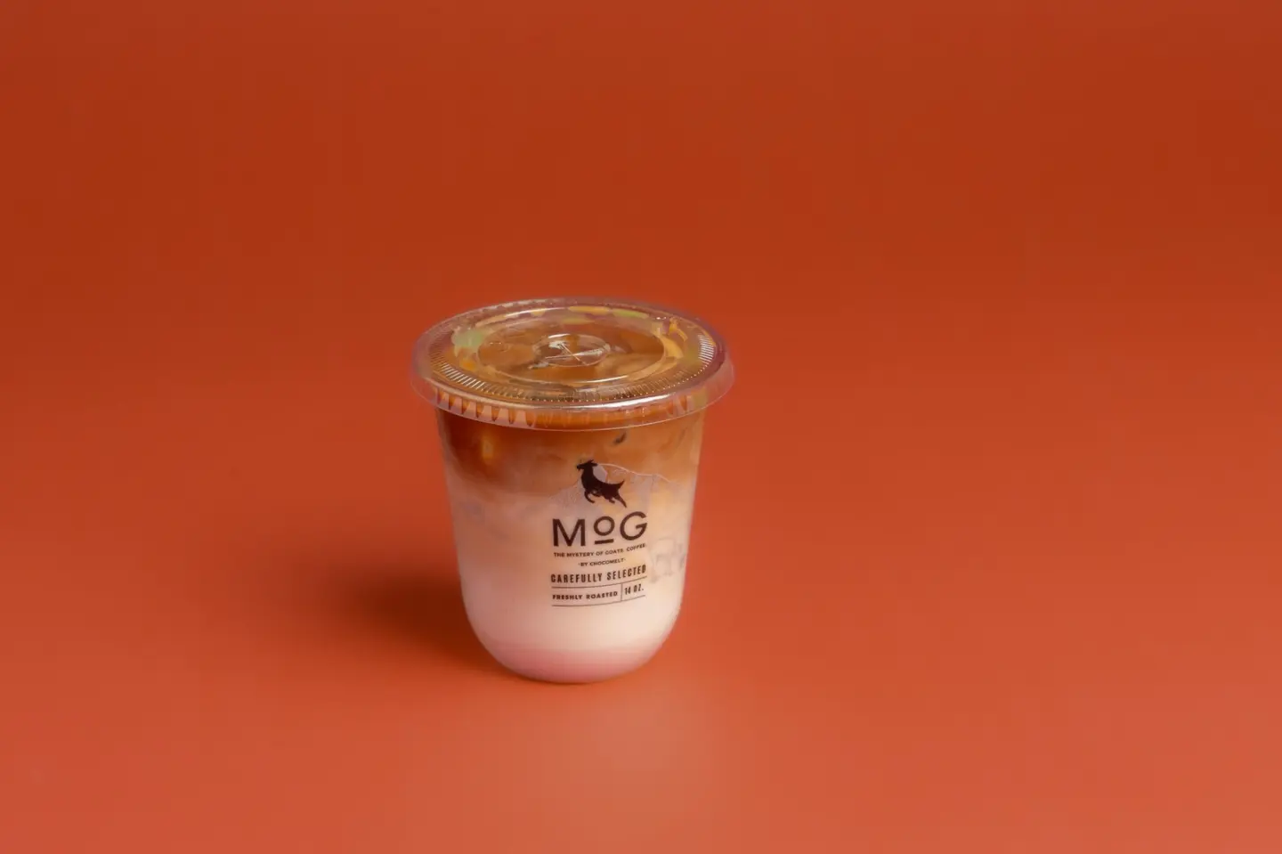 سيجنتشر موغ لاتيه