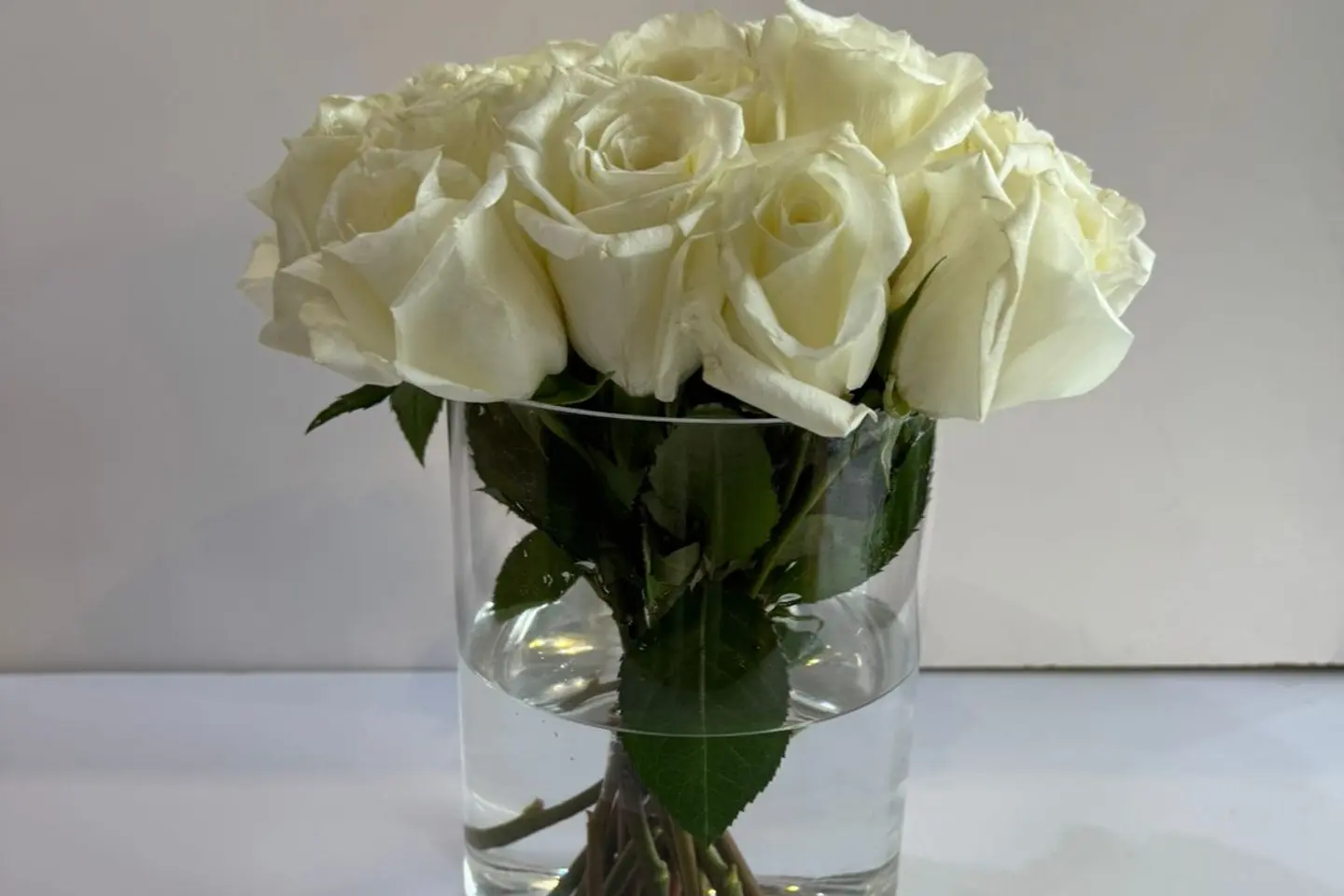 فازة ورد بيضاء