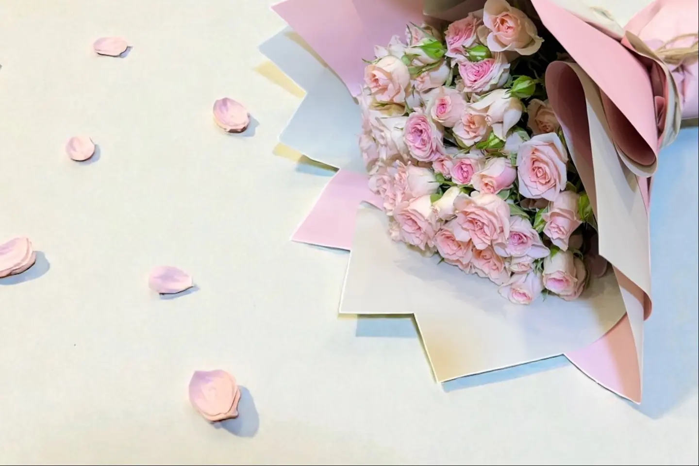 تنسيق طبيعي ٥