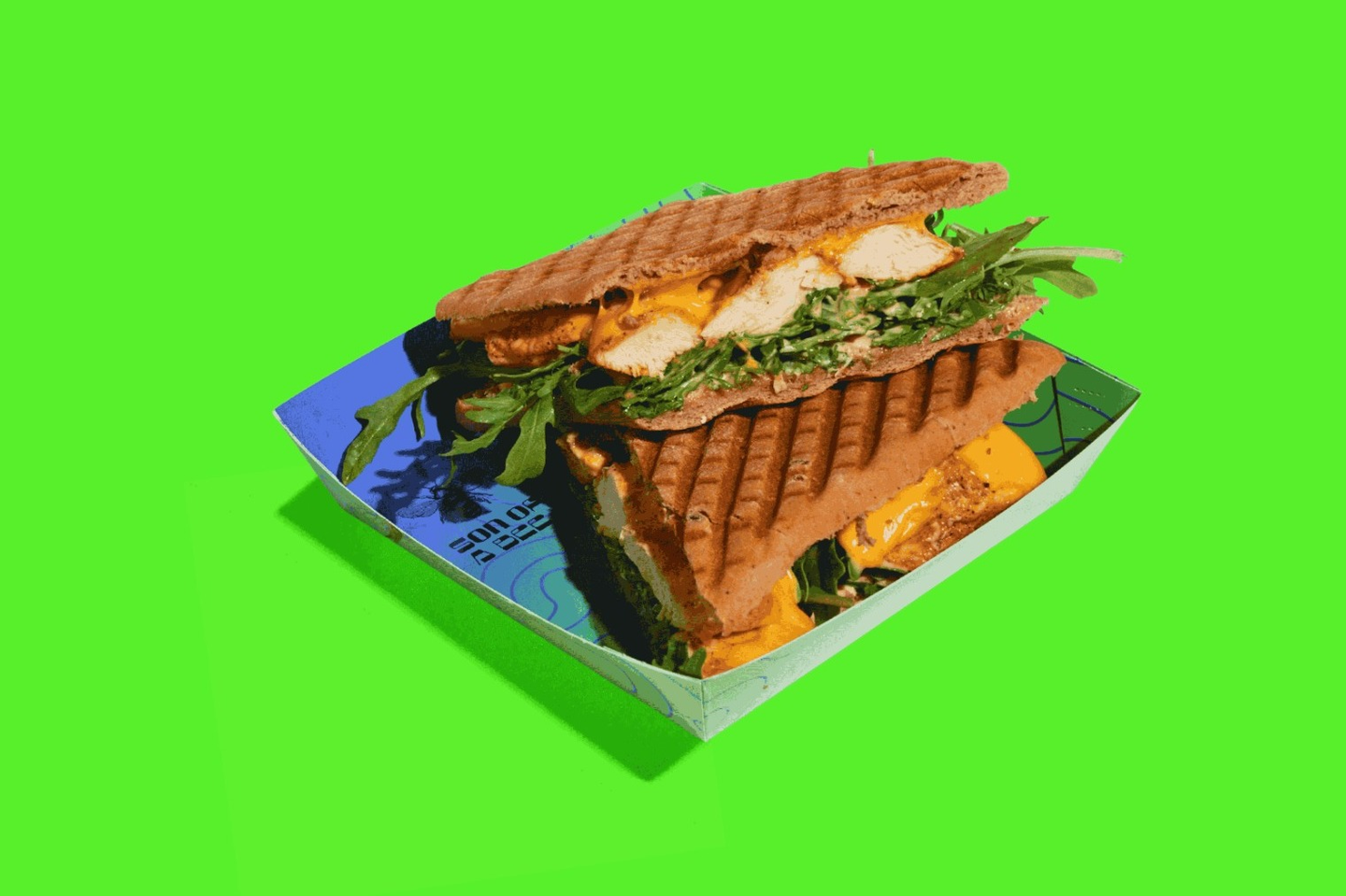 Spicy Chicken Panini