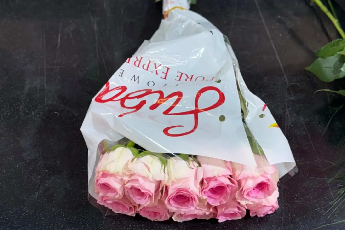 Rose Intensity   Soft Pink