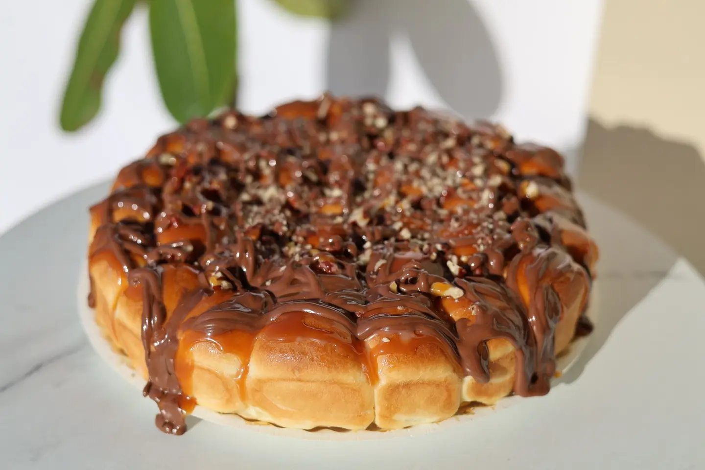 خلية سقنتشر