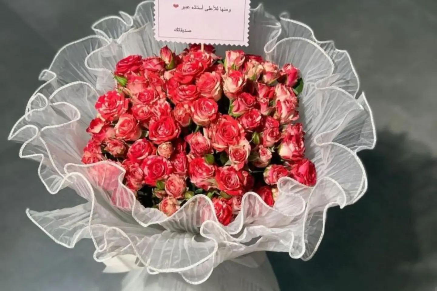 باقة بيبي جوري دبل كلر