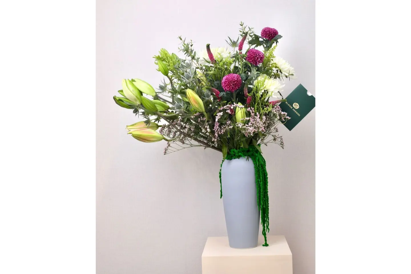 فازه مع ورد هولاندي مشكل