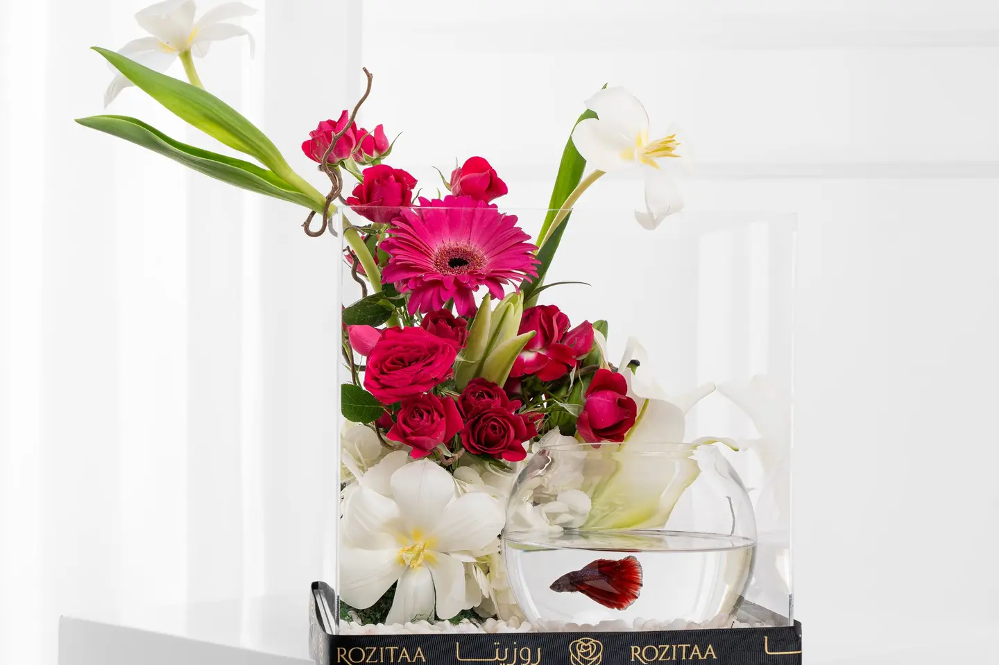 بوكس ورد كرة السحر الأبيض – أزهار بيضاء